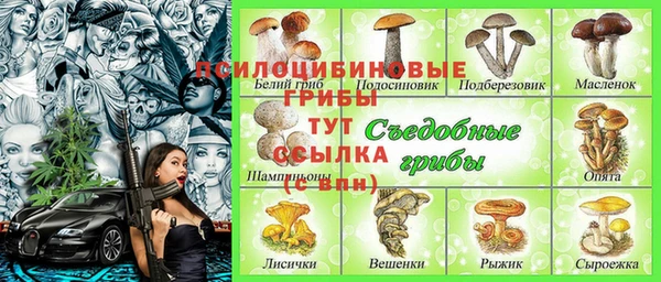 амф Алзамай