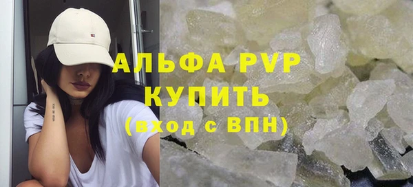 прущие грибы Наволоки