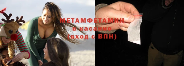 шишки Надым