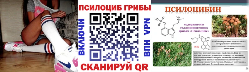 mega   Лесной  Псилоцибиновые грибы Psilocybine cubensis 