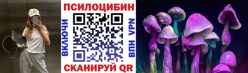 Псилоцибиновые грибы мицелий Лесной