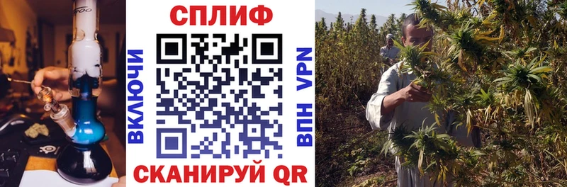 даркнет сайт  Лесной  Конопля сатива 